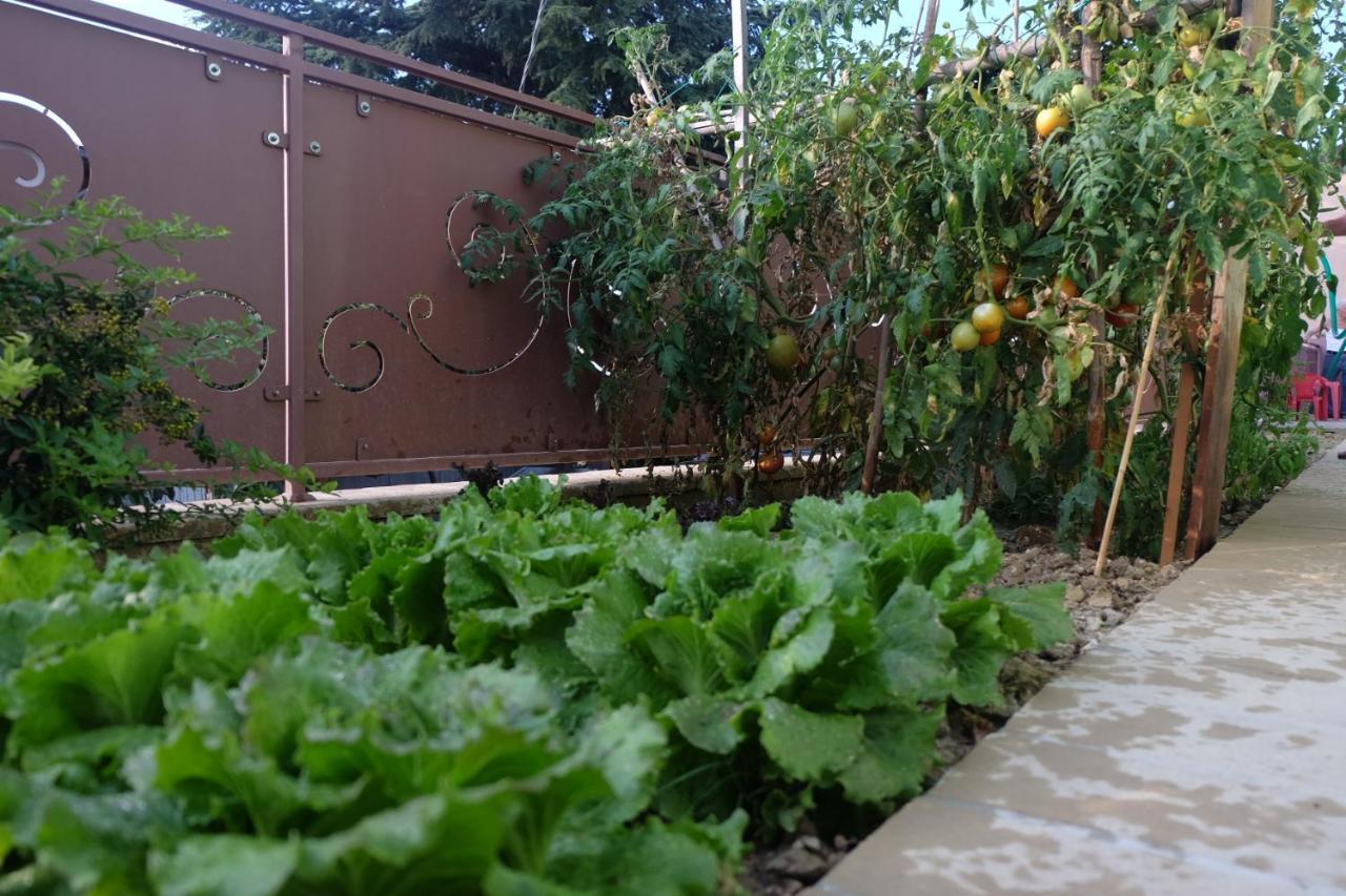 Villa Eden มอนเตฟัลโก ภายนอก รูปภาพ
